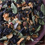 Старый Лекарь 10033