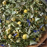 Вечерний 10026