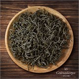 Сочные листья 10081 Сочные листья 10081